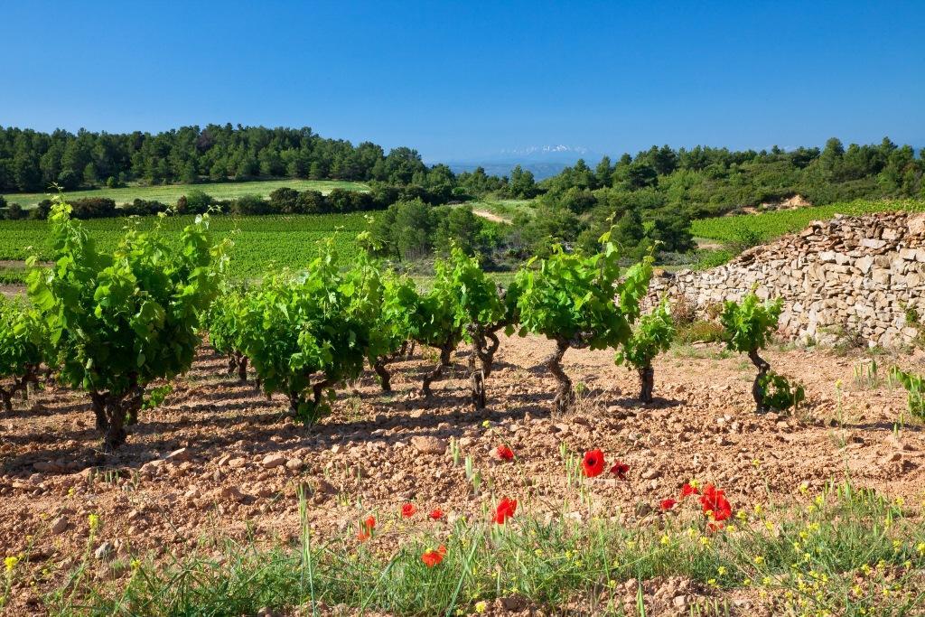 Logis Hotel - Restaurant La Marbrerie Caunes-Minervois Εξωτερικό φωτογραφία