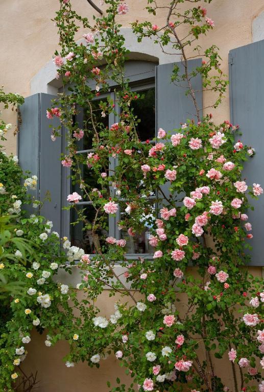 Logis Hotel - Restaurant La Marbrerie Caunes-Minervois Δωμάτιο φωτογραφία